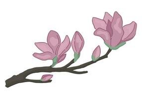 Magnolia blooming twig doodle. Spring time tree branch clipart. Cartoon vector illustration isolated on white background.