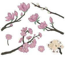 Spring botanical doodles set. Blooming tree branches of magnolia, sakura, willow, apricot. Vector illustrations isolated on white.