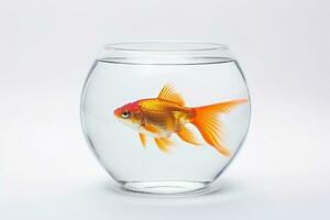 AI generated A golden fish in fishbowl on white background. Generative AI. photo