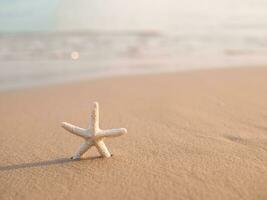 Starfish on the beach with sea background photo