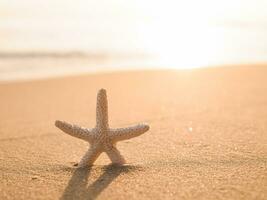 Starfish on the beach with sea background photo