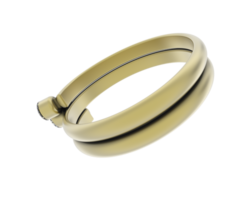 sieraden geïsoleerd Aan achtergrond. 3d renderen - illustratie png