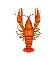 Crayfish or crawfish, cartoon seafood and sea food vector