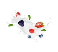 yogur bebida Leche remolino y ola chapoteo con baya vector