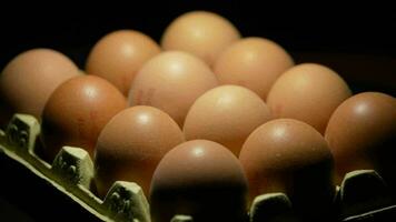 Brown eggs in carton rotating in black background video