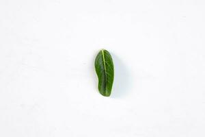 One green leaf of a tropical tree isolated on white background. photo