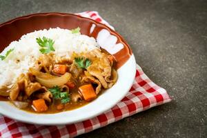 Japanese curry rice with sliced pork, carrot and onions photo