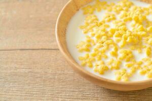 cereals with fresh milk photo