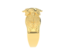 joyería aislado en antecedentes. 3d representación - ilustración png