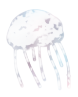 tranparant jelly fish png