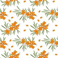 Seamless pattern, sea buckthorn branches and sea buckthorn berries on a white background. Print, background, vector