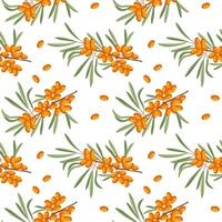 Seamless pattern, sea buckthorn branches and sea buckthorn berries on a white background. Print, background, vector