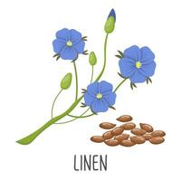 Blue flax flowers and flax seeds on a white background. Linen. Illustration, vector