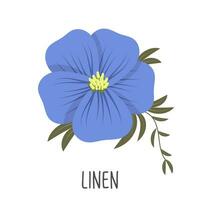 Blue flax flower on a white background. Linen color. Illustration, vector