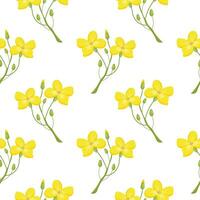 Seamless pattern, twigs with yellow mustard flowers on a white background. Print, background, vector