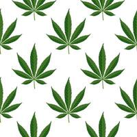 Seamless pattern of hemp leaves. Background of cannabis leaves on a white background. Print, vector