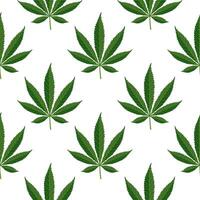 Seamless pattern of hemp leaves. Background of cannabis leaves on a white background. Print, vector