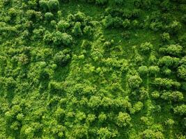 Aerial view of tropical forests in Thailand. Natural landscape background. photo