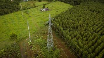 Aerial view of high voltage pylons and power lines between eucalyptus plantations. Top view of eucalyptus forest in Thailand. Natural landscape background. photo