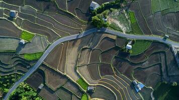 Aerial view of rice terraces in the mountains of northern Thailand. Beautiful scenery of the terraced farming season. photo