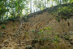 Close up of the cliff stone surface, a natural phenomenon caused by the erosion of the sediment that flows along the watercourse, forming a sedimentary layer with rounded river rocks embedded in it. photo