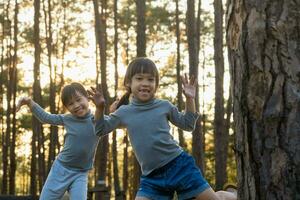 Funny little sisters peeking out from behind tree in winter park. Cute smiling child playing hide and seek in the forest. Children look into the camera and smile. Happy family on vacation in nature. photo