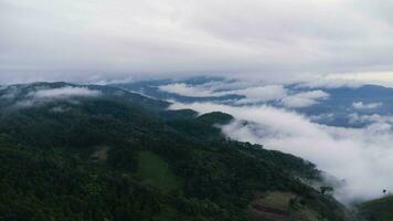 Aerial view of tropical forest with mist in the morning. Top view from drone of beautiful mountain tropical forest during winter in Thailand. Natural landscape background. photo