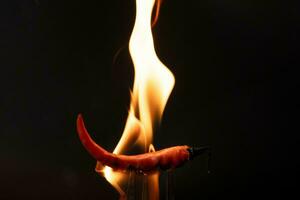 Chili pepper on fork with flames on black background. Burning red chili pepper. Slow motion photo
