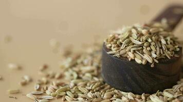 cumin seeds on spoon on table , close up video