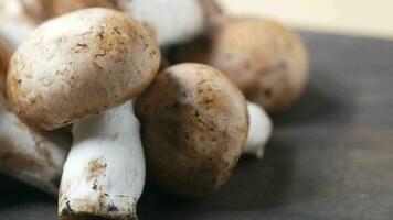 Fresh champignons mushroom on chopping board video