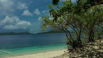 lindo tropical de praia dentro a Filipinas. video