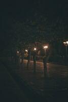 brillante calle luces a noche foto