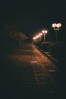 Glowing street lights in the dark photo