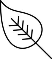 Leaf Line Icon vector