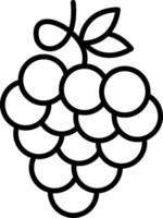 Zinfandel Grapes Line Icon vector