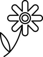 Chamomile Line Icon vector