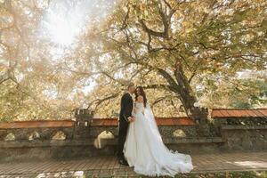 young wedding couple in the garden under the sunlight, standing close to each other, the man kisses his girlfriend on the temple photo