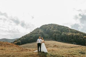 Wedding couple on the background of a large mountain covered with trees, walking in the mountains. Photo of a wide plan. Free space. Bride's dress.