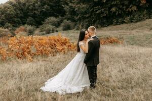 Romantic fairytale couple of newlyweds hugging and kissing in a field at sunset and ferns photo