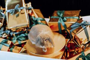 Decorative hare on New Year's gifts, concept of New Year and Christmas holidays photo