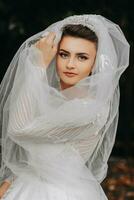 The bride is sitting on a rock high in the mountains next to a large stone. Wedding Dress. the bride under the veil photo