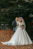 Boda retrato. un morena novia en un largo vestir y un novio en un clásico traje son de pie, abrazando, en amor y posando para el cámara. hermosa novia, cordón vestir foto