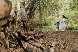 Wedding walk in the forest. The groom holds the hand of the bride and they run in front of large trees looking at each other. Wide angle photo. photo