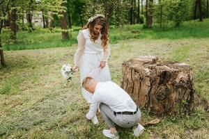 nupcial caminar en el bosque. el novio es vestido en un blanco camisa y gris pantalones, Ayudar el novia a Corbata su cordones de los zapatos foto