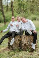 The groom and his friends are posing against the background of the forest. not a large company of people having fun. Smiling boys sit on a stump and rejoice together with the bridegroom photo