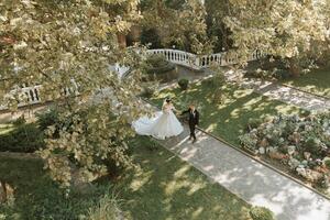 young beautiful wedding couple holding hands walking in the garden, photo from above