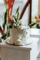 white cake on the board. A slice of cake. Raspberry cake. devil's pie Wedding dessert. Birthday party. A delicious dessert. A traditional American dessert photo