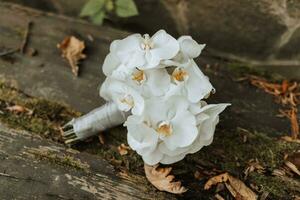 wedding bouquet of white orchid. A bouquet of flowers on the wedding day photo