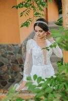 portrait of a brunette bride in a dress with sleeves in a green leaf on a veranda photo