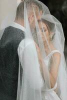 wedding couple on nature. bride and groom hugging under the veil at wedding. photo